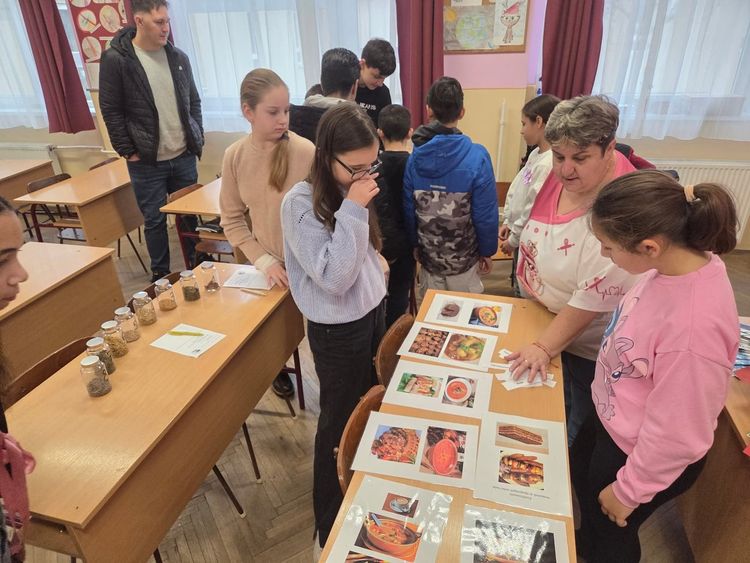 Pályorientációs nap 